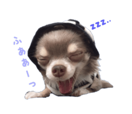 Chubby, the chihuahua & Friends sticker #14138217