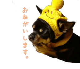 Chubby, the chihuahua & Friends sticker #14138218