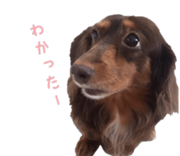 Chubby, the chihuahua & Friends sticker #14138219