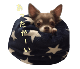 Chubby, the chihuahua & Friends sticker #14138220
