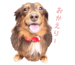 Chubby, the chihuahua & Friends sticker #14138223