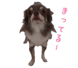 Chubby, the chihuahua & Friends sticker #14138225