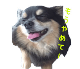 Chubby, the chihuahua & Friends sticker #14138233
