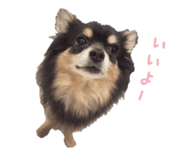 Chubby, the chihuahua & Friends sticker #14138234