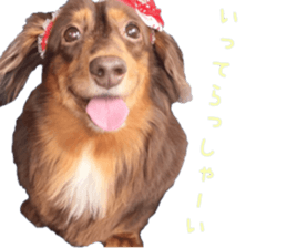 Chubby, the chihuahua & Friends sticker #14138236