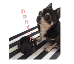 Chubby, the chihuahua & Friends sticker #14138239