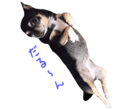 Chubby, the chihuahua & Friends sticker #14138243