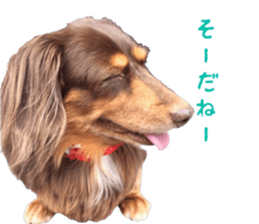 Chubby, the chihuahua & Friends sticker #14138244