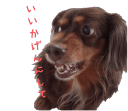 Chubby, the chihuahua & Friends sticker #14138247