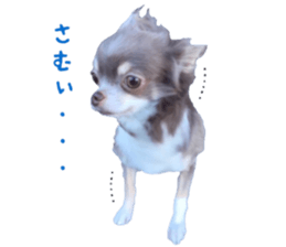 Chubby, the chihuahua & Friends sticker #14138251