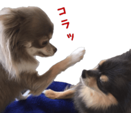 Chubby, the chihuahua & Friends sticker #14138252