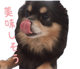 Chubby, the chihuahua & Friends sticker #14138253