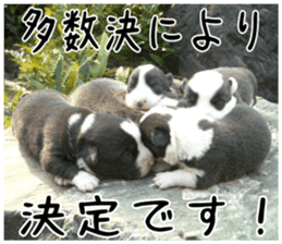 MIEDOG Welsh Corgi Cardigan sticker 2 sticker #14138792