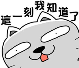 Arrogant cat 6-Saying buzzwords sticker #14138965