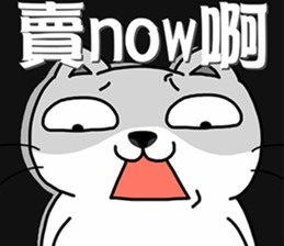 Arrogant cat 6-Saying buzzwords sticker #14138974