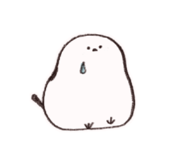 Shimaenaga Birds' Sticker sticker #14140147