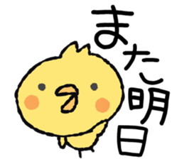 piyoco Normal version 2 sticker #14140256