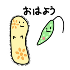 The B`s (Paramecium and Euglena) sticker #14141222