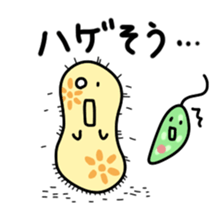 The B`s (Paramecium and Euglena) sticker #14141233