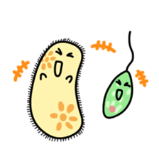 The B`s (Paramecium and Euglena) sticker #14141245