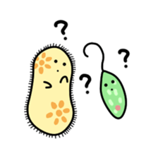 The B`s (Paramecium and Euglena) sticker #14141248