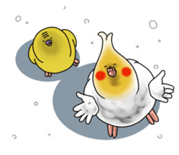 Creatures such as the cockatiel 7 sticker #14141534