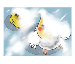 Creatures such as the cockatiel 7 sticker #14141536