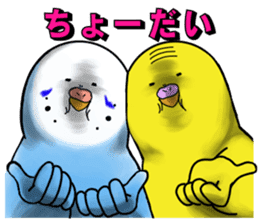 Creatures such as the cockatiel 7 sticker #14141549