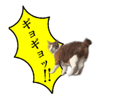 A stray cat moves 2. sticker #14141583