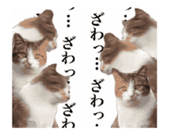 A stray cat moves 2. sticker #14141587