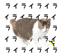 A stray cat moves 2. sticker #14141589