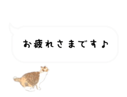 A stray cat moves 2. sticker #14141591