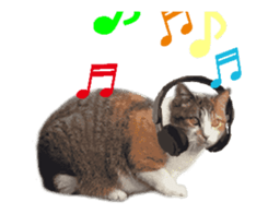 A stray cat moves 2. sticker #14141593