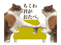 A stray cat moves 2. sticker #14141595