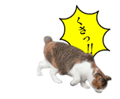 A stray cat moves 2. sticker #14141597