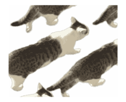 A stray cat moves 2. sticker #14141598