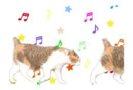 A stray cat moves 2. sticker #14141602