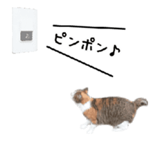 A stray cat moves 2. sticker #14141604