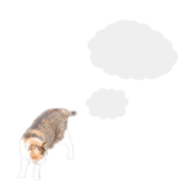 A stray cat moves 2. sticker #14141605