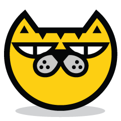 Skateboard cat WOOPS