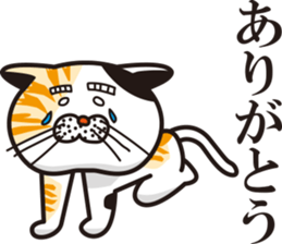 Matsuo' pet ~cat vol01~ sticker #14142129