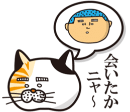 Matsuo' pet ~cat vol01~ sticker #14142130