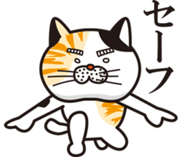 Matsuo' pet ~cat vol01~ sticker #14142132