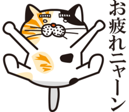 Matsuo' pet ~cat vol01~ sticker #14142133