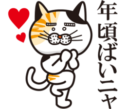 Matsuo' pet ~cat vol01~ sticker #14142134