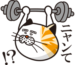 Matsuo' pet ~cat vol01~ sticker #14142139