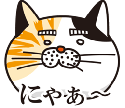 Matsuo' pet ~cat vol01~ sticker #14142141