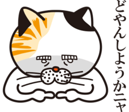 Matsuo' pet ~cat vol01~ sticker #14142149