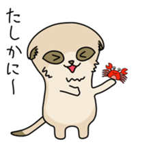 Suricata sticker #14142366