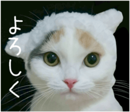 mugi325channel sticker #14142714